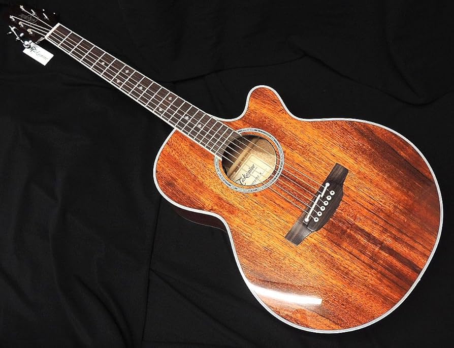 Takamine PTU131KC N ハワイアンコア エレアコ　超美品 Takamine PTU131KC N｜ミュージックランドKEY